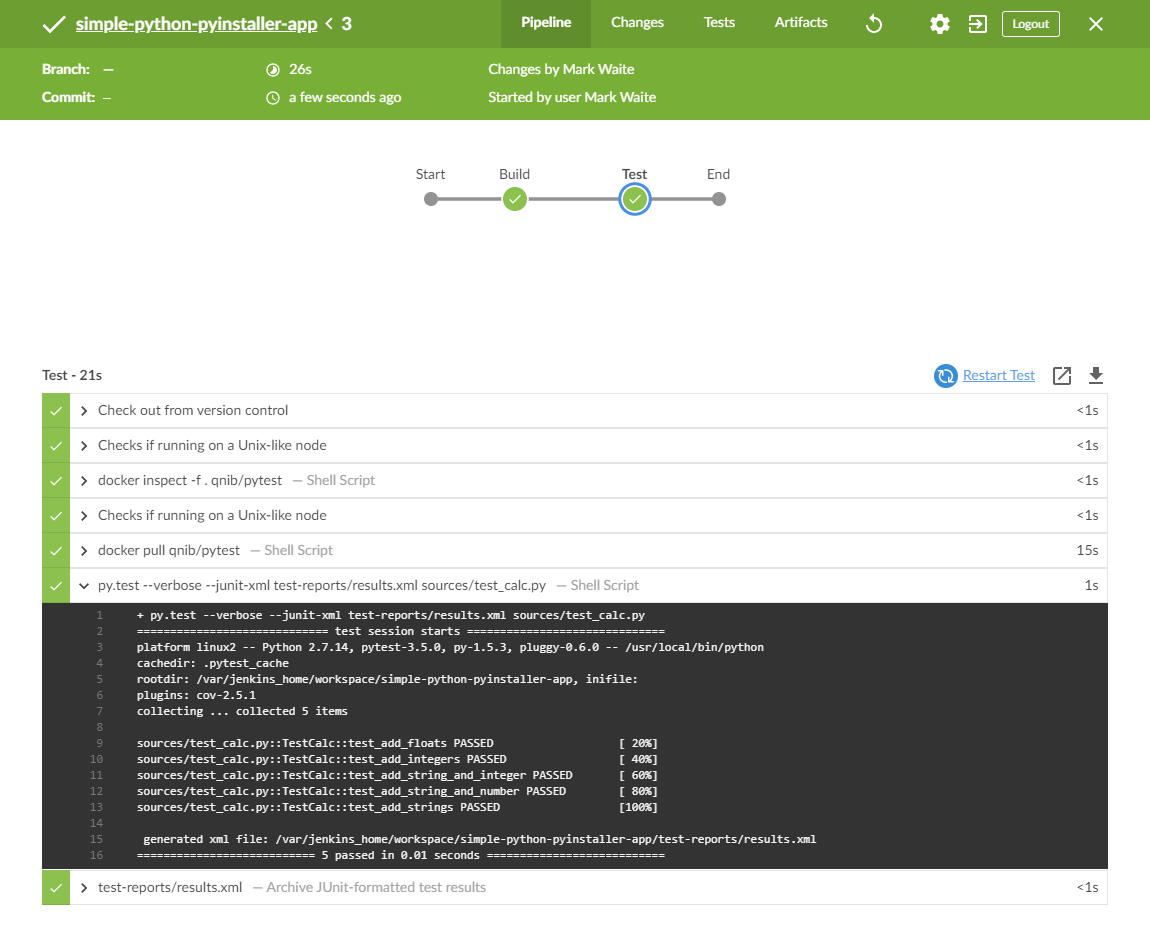 Test stage runs successfully (with output)